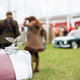 Illustration for article titled The Goodwood Revival Is An Extraordinary Step Back Into The Greatest Eras Of Cars